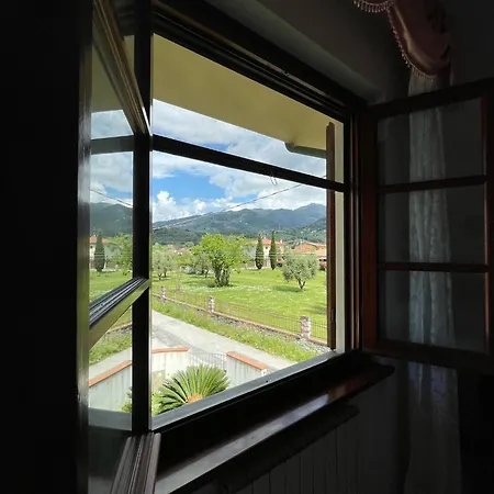 Lemon Villa Camaiore