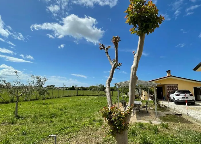 Lemon Villa Camaiore